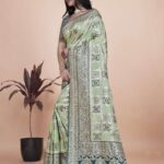Pastel Green & Dark Green Banarasi Silk Saree with Silver Zari | Wedding & Festive Wear | Elegant Designer Banarasi Saree